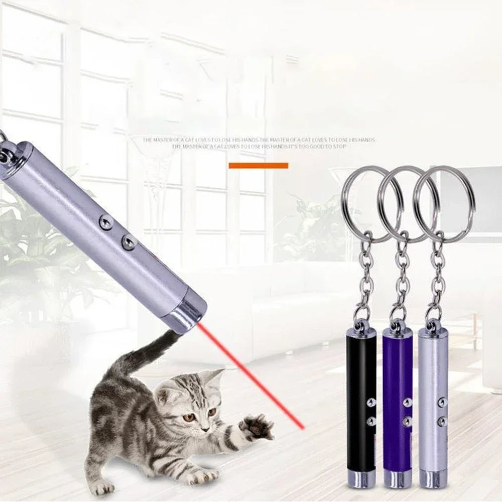 Laser Pointer for cats and dogs- Pet Training Chase Interactive Toy