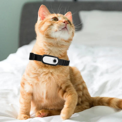 0.96 inch Mini Pet Collar Camera USB Rechargeable HD 1080P LCD Display Lightweight Pet Sport Camera Support Video and Photo Func