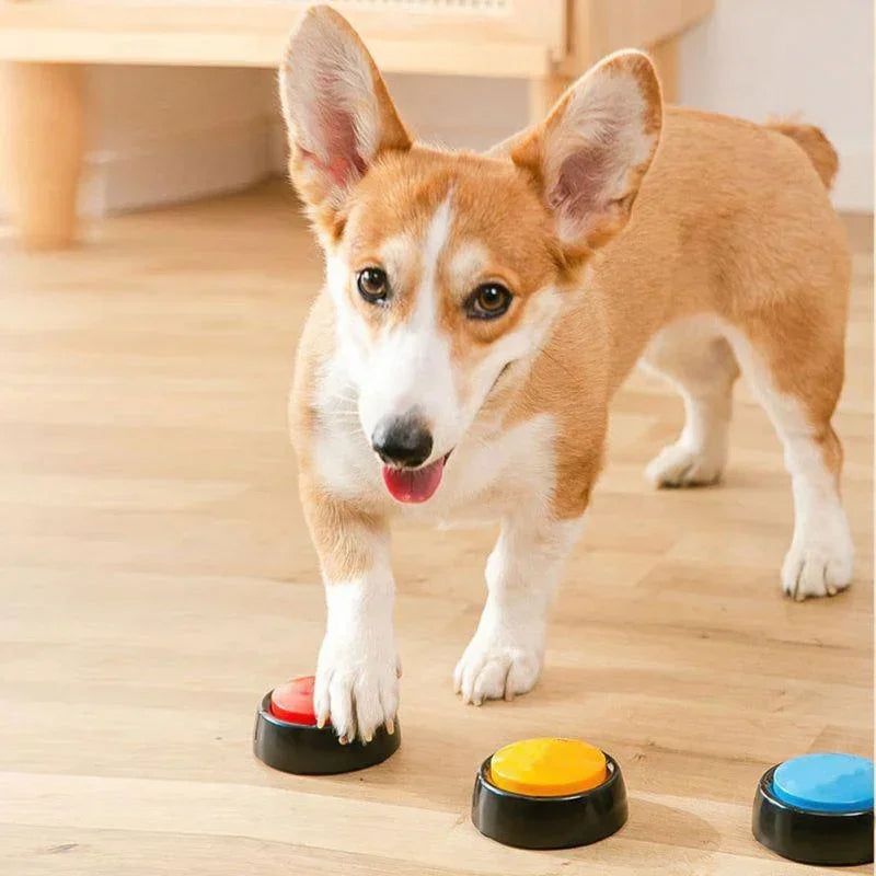 1 Pc Pet Sound Box Recordable Talking Button Voice Recorder