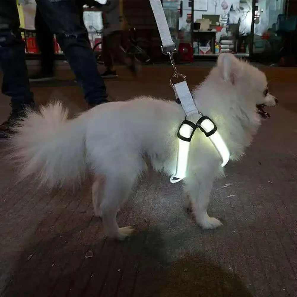 Adjustable LED Pet Harness USB Rechargeable Glow-in-The-Dark Safety Vest