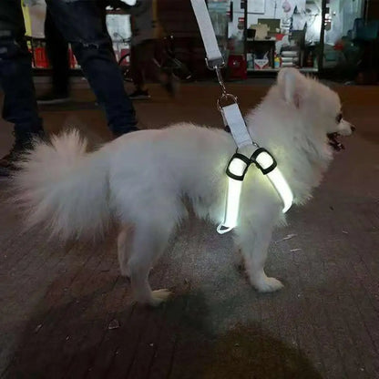 Adjustable LED Pet Harness USB Rechargeable Glow-in-The-Dark Safety Vest