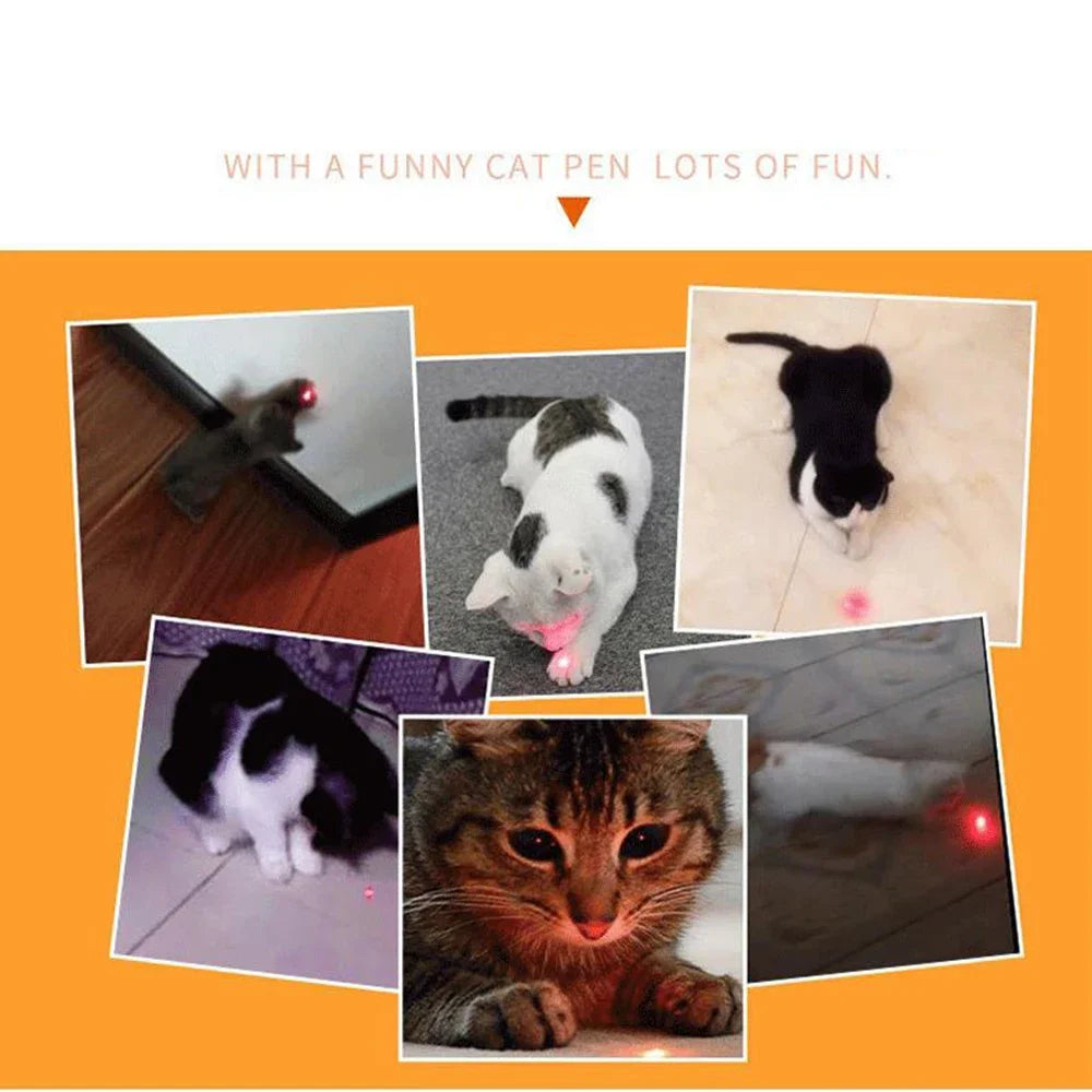 Laser Pointer for cats and dogs- Pet Training Chase Interactive Toy
