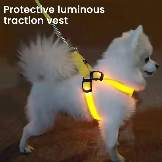 Adjustable LED Pet Harness USB Rechargeable Glow-in-The-Dark Safety Vest