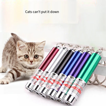 Laser Pointer for cats and dogs- Pet Training Chase Interactive Toy