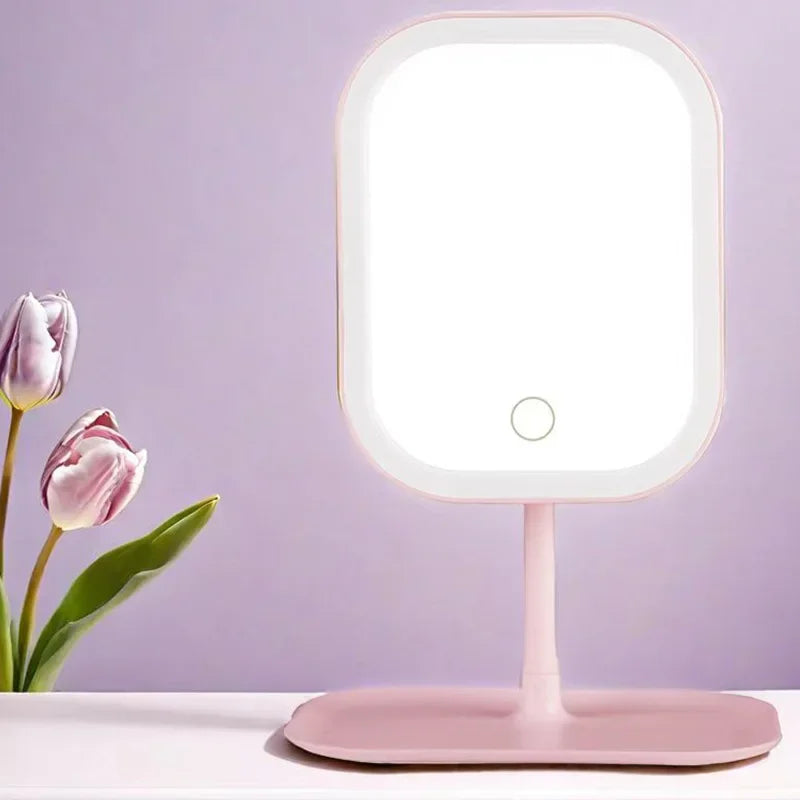 Small Unique Designer Vanity Mirror Three Colors LED Light Makeup Mirror Touch Control