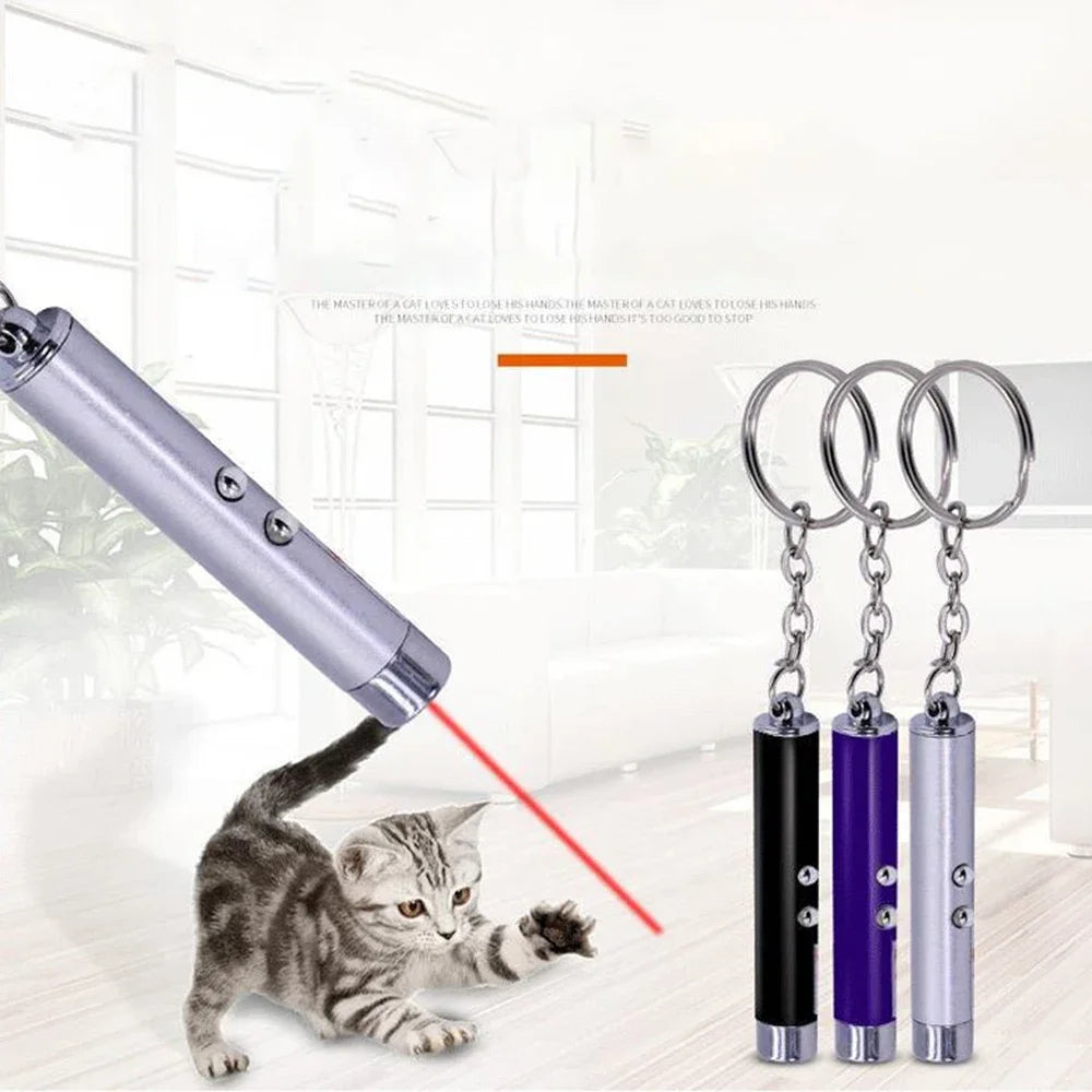 Laser Pointer for cats and dogs- Pet Training Chase Interactive Toy