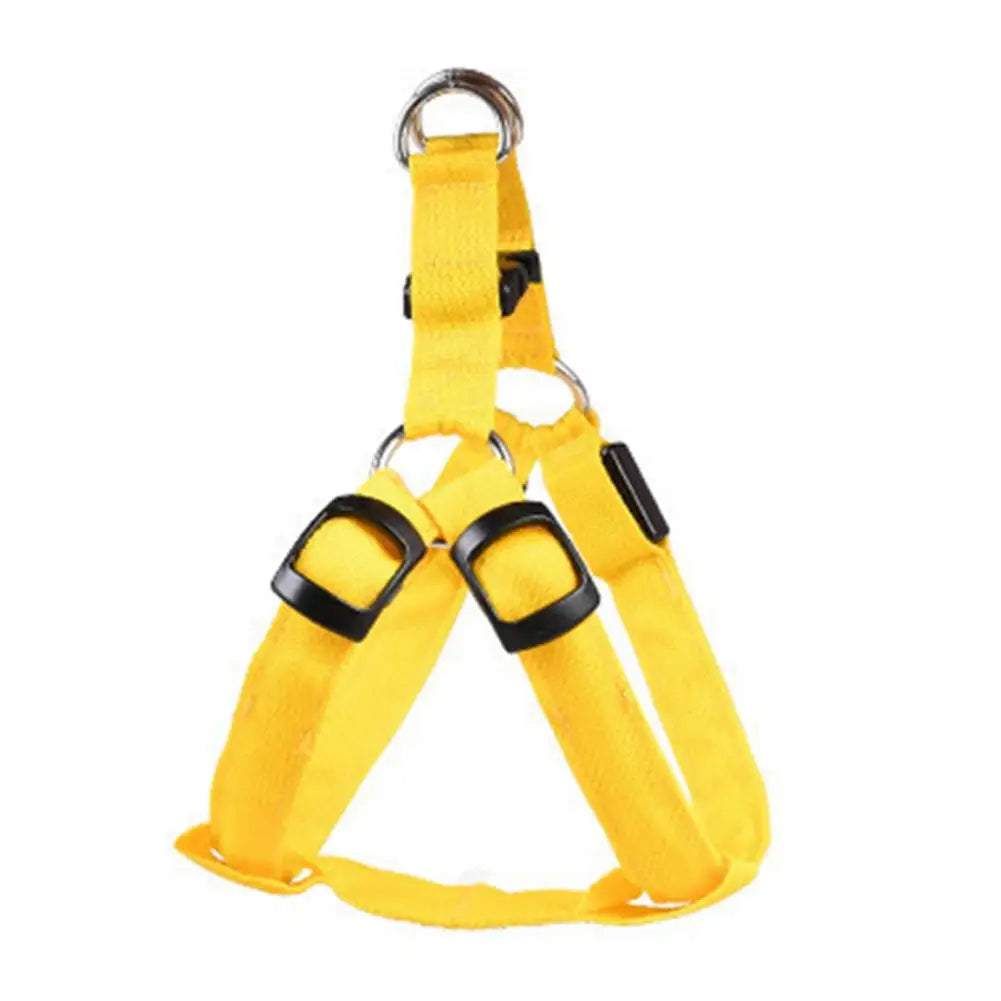 Adjustable LED Pet Harness USB Rechargeable Glow-in-The-Dark Safety Vest