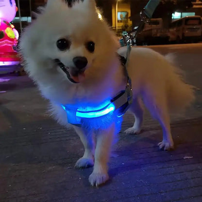 Adjustable LED Pet Harness USB Rechargeable Glow-in-The-Dark Safety Vest