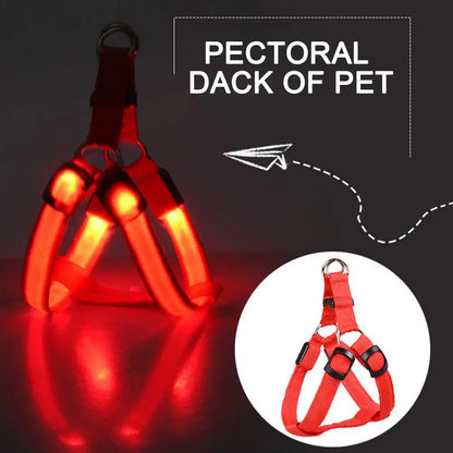 Adjustable LED Pet Harness USB Rechargeable Glow-in-The-Dark Safety Vest