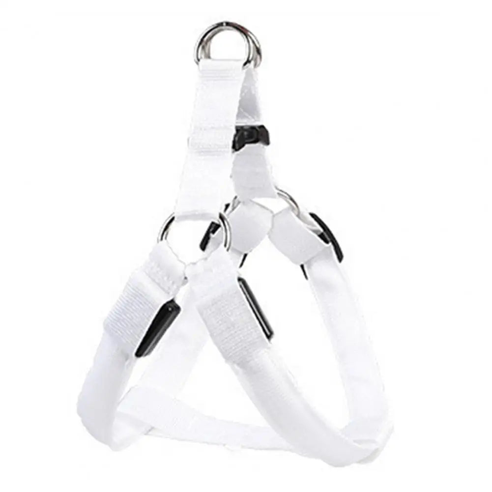 Adjustable LED Pet Harness USB Rechargeable Glow-in-The-Dark Safety Vest
