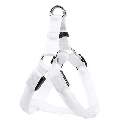 Adjustable LED Pet Harness USB Rechargeable Glow-in-The-Dark Safety Vest