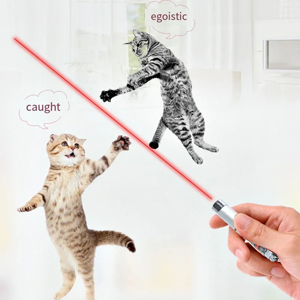 Laser Pointer for cats and dogs- Pet Training Chase Interactive Toy