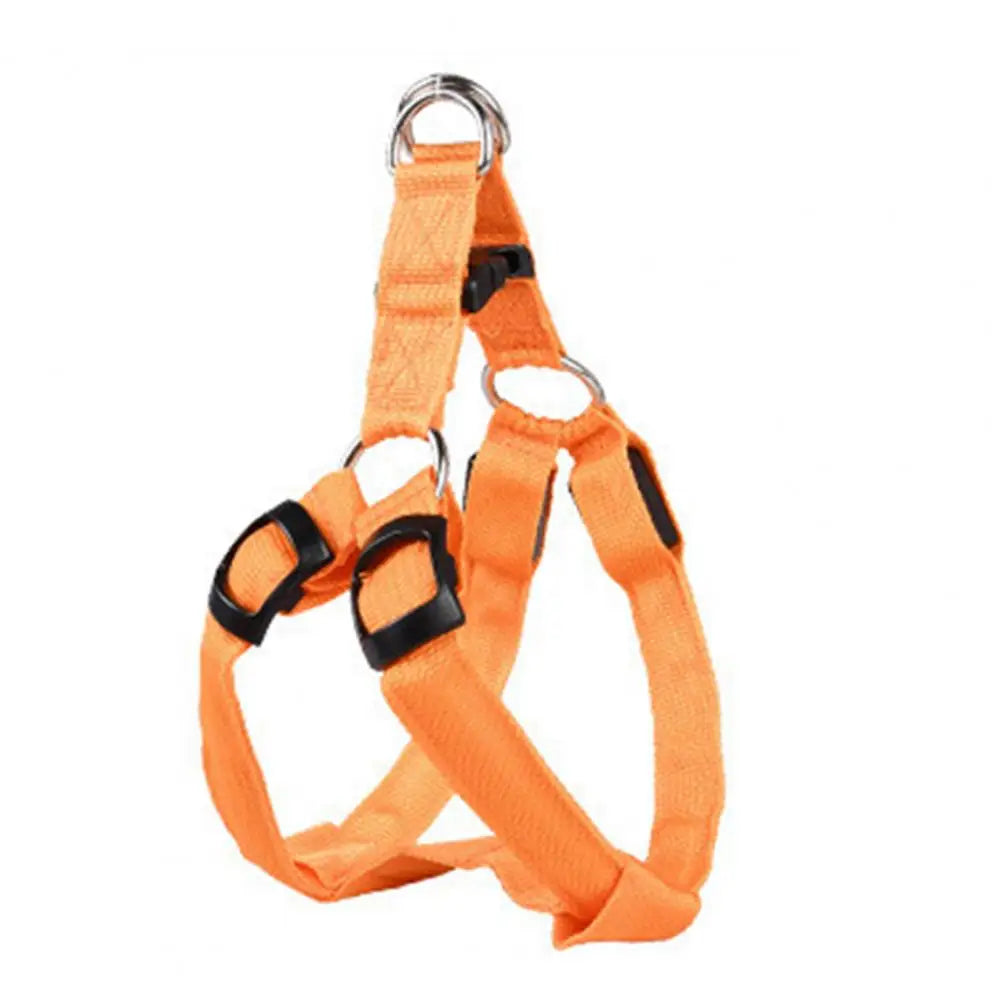 Adjustable LED Pet Harness USB Rechargeable Glow-in-The-Dark Safety Vest