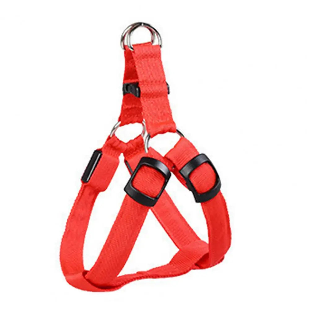 Adjustable LED Pet Harness USB Rechargeable Glow-in-The-Dark Safety Vest